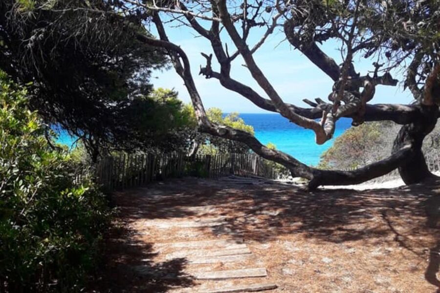 From Calvi: 4x4 Day Tour Mountain & Agriates' Saleccia Beach - Who will enjoy this day most