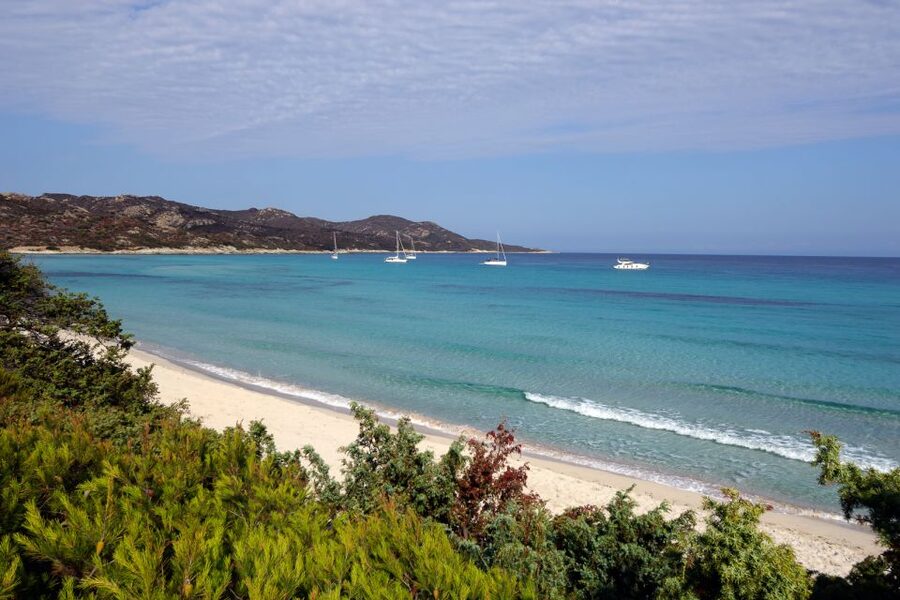 From Calvi: Agriate Guided Jeep Tour to Lotu and Saleccia - Key points at a glance
