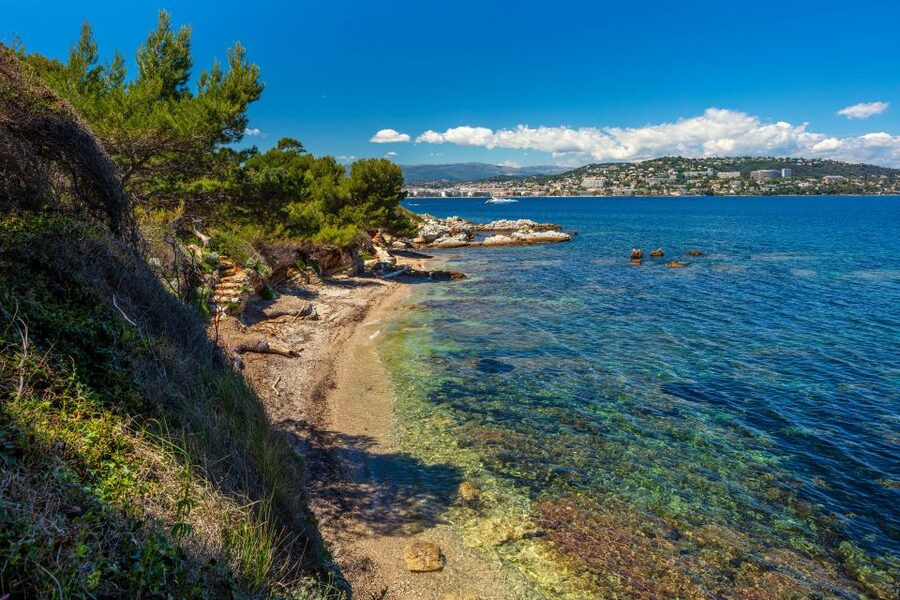 From Cannes: Round-Trip Ferry to Ste. Marguerite Island - Fort Royal and the Man in the Iron Mask