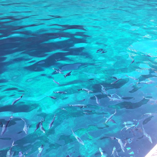From Cargèse: Scandola Day Tour & Girolata Lunch Stop - Cap Senino and the Calanques de Piana