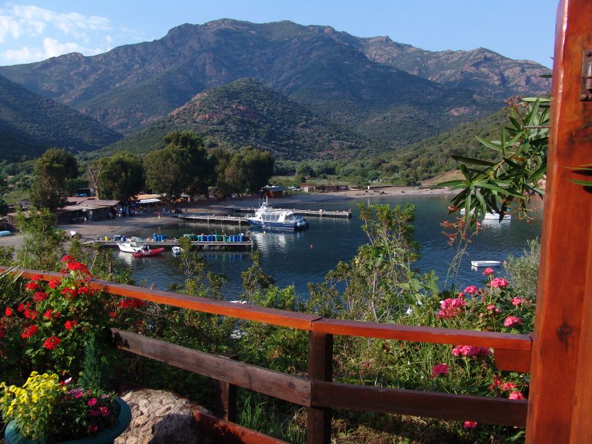 From Cargèse: Scandola Day Tour & Girolata Lunch Stop - What the guide adds to the ride
