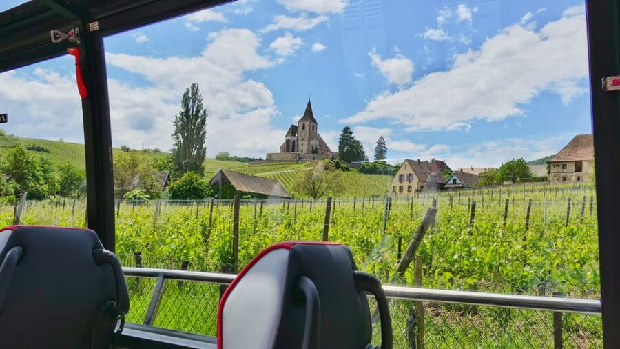 From Colmar: Alsace Medieval and Wine Tasting Day Tour - Riquewihr, the longest village stop
