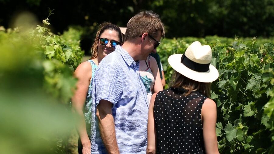 From: Dijon/Beaune: Burgundy Region Winery Tour with Lunch - Montrachet and the final vineyard views