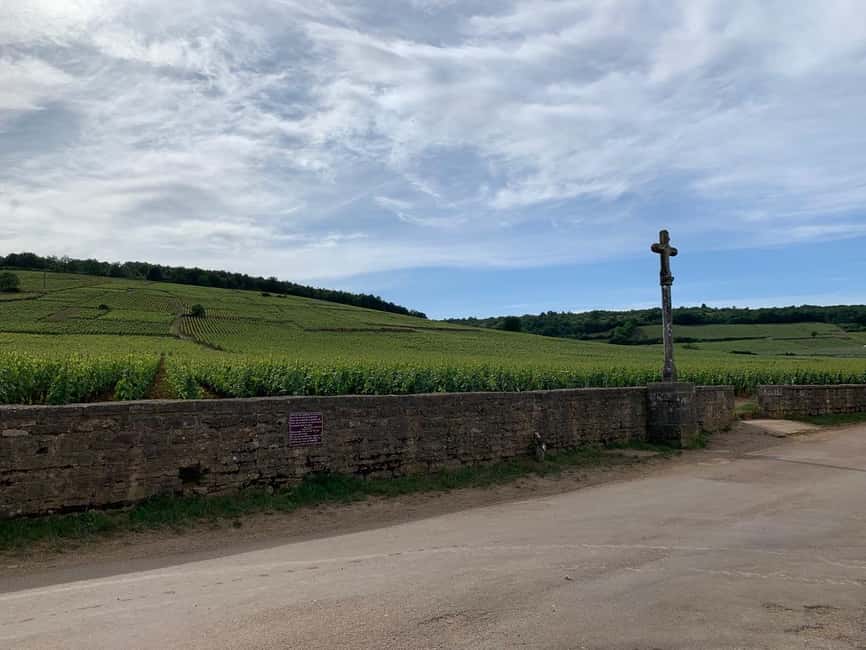 From: Dijon/Beaune: Burgundy Region Winery Tour with Lunch - A traditional village walk
