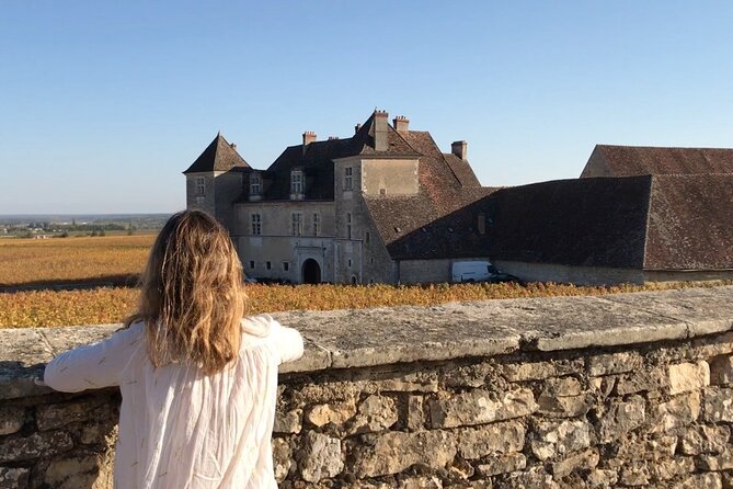 From Dijon: Full day the most of Burgundy with lunch - Leaving Dijon for Burgundy’s famous wine road