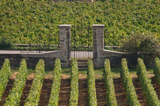 From Dijon: Full day the most of Burgundy with lunch - Is $263.62 fair value?