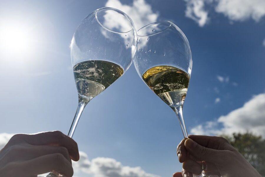 From Epernay : Bubble Champagne Tour 6 tastings - Vineyard roads through UNESCO-listed Champagne country
