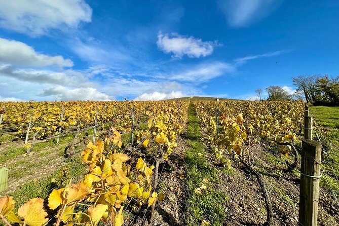 From Epernay: Champagne Small-Group tour with tastings & Lunch - Hautvillers and the Church of Dom Pérignon