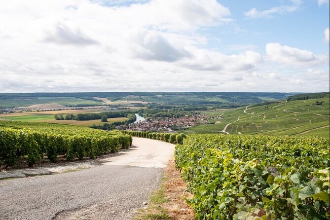 From Epernay: Champagne Small-Group tour with tastings & Lunch - The Ay-Champagne Lunch and Tasting Lesson