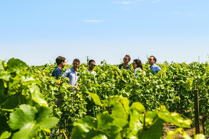 From Epernay: Champagne Small-Group tour with tastings & Lunch - Meeting a Small Champagne Producer