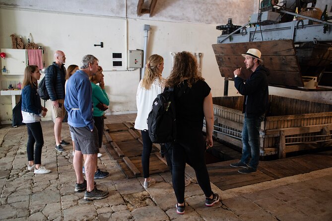 From Epernay Full day Electric bike Champagne and lunch - Returning to Le Clos Corbier for the cellar visit