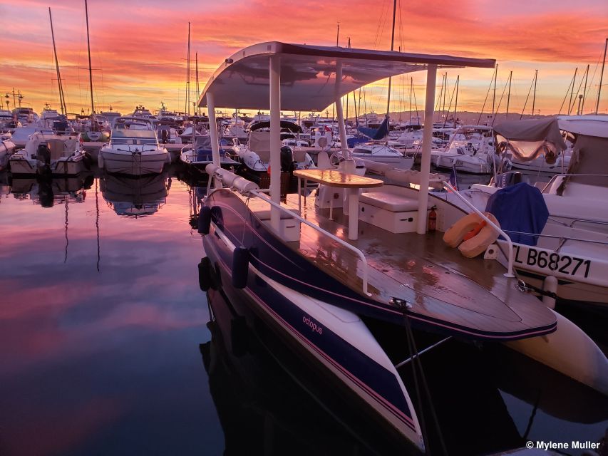 From Juan les Pins: Private French Riviera Solar Boat Cruise - Key points to know before you go