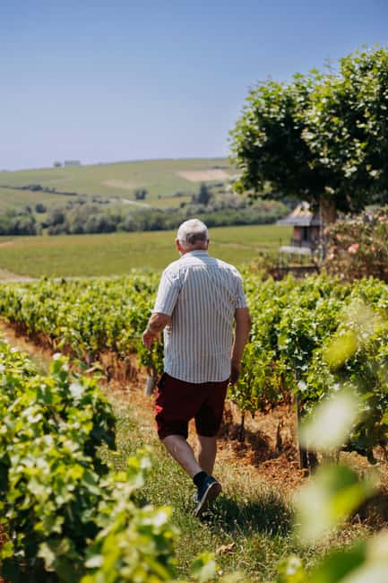 From Lyon: Beaujolais Wine Route Half-Day Tour - Is the $113 price good value?