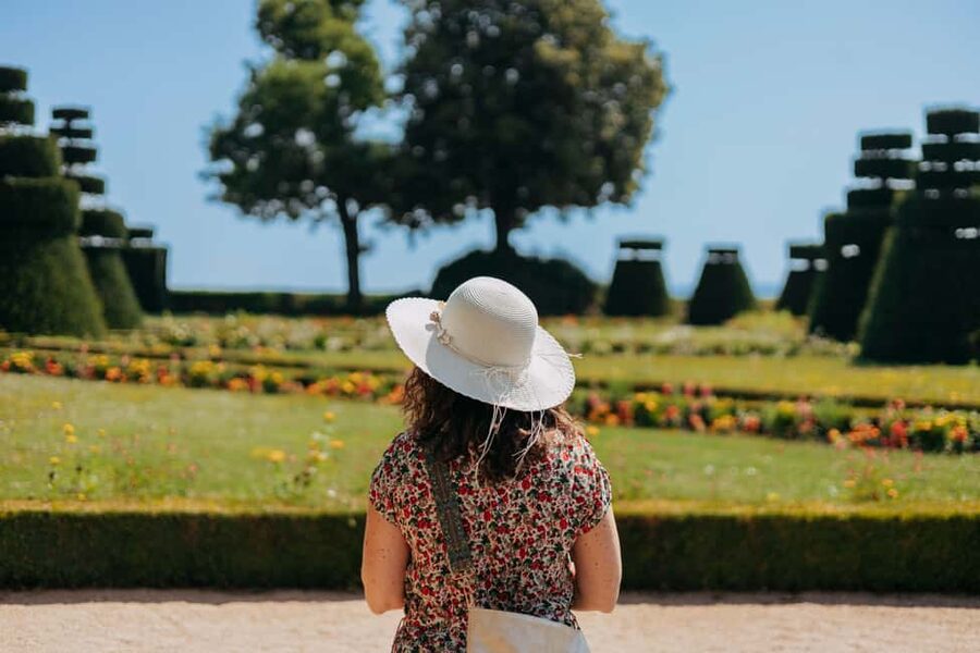 From Lyon: Beaujolais Wine Route Half-Day Tour - Who should book this wine route