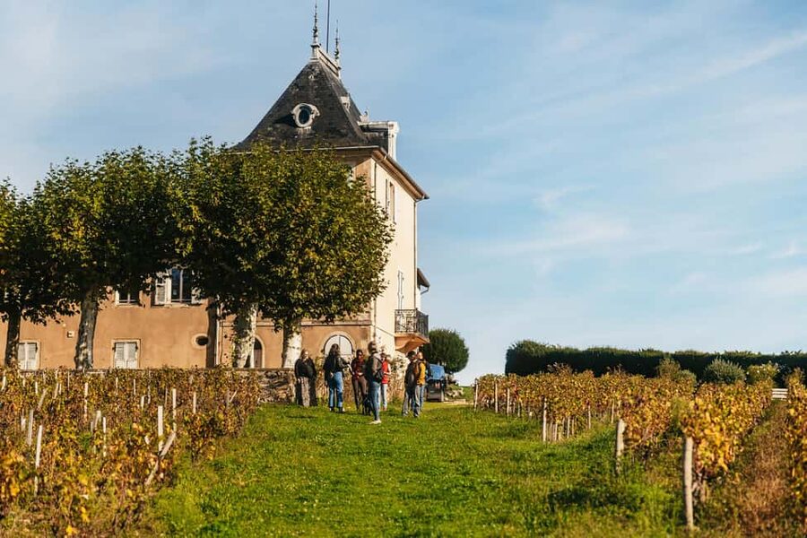 From Lyon: Beaujolais Wine Tour with Tastings - Following the Beaujolais Wine Route