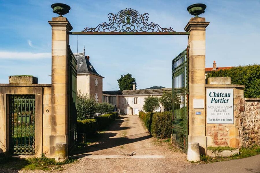 From Lyon: Beaujolais Wine Tour with Tastings - Two domaines, two ways to make wine