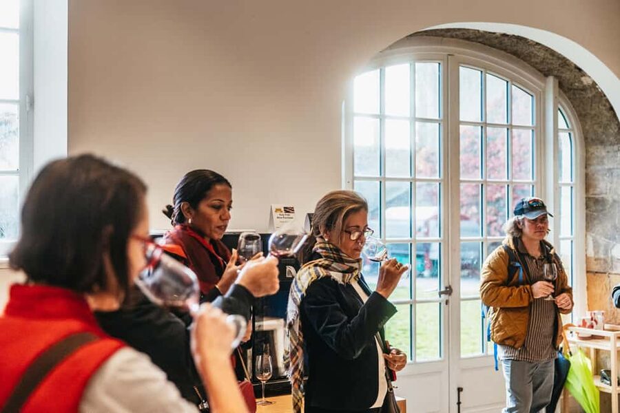From Lyon: Beaujolais Wine Tour with Tastings - Tasting Gamay across different appellations