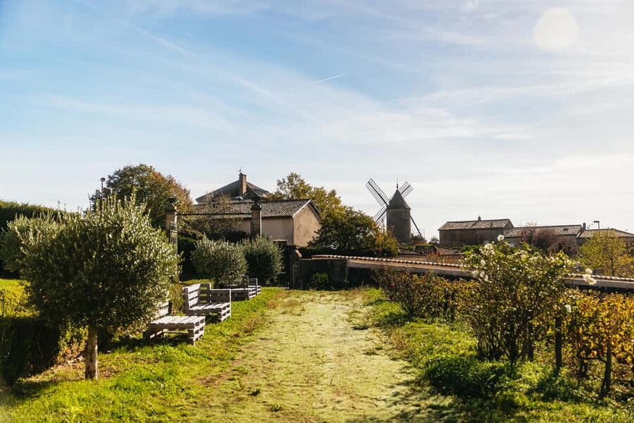 From Lyon: Beaujolais Wine Tour with Tastings - Is $113 a fair price?
