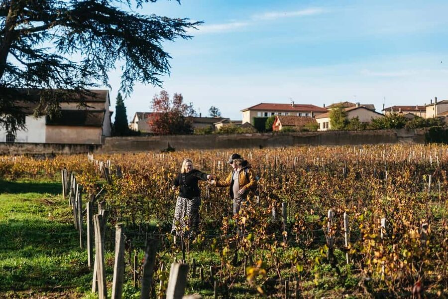 From Lyon: Beaujolais Wine Tour with Tastings - What to bring and what to expect