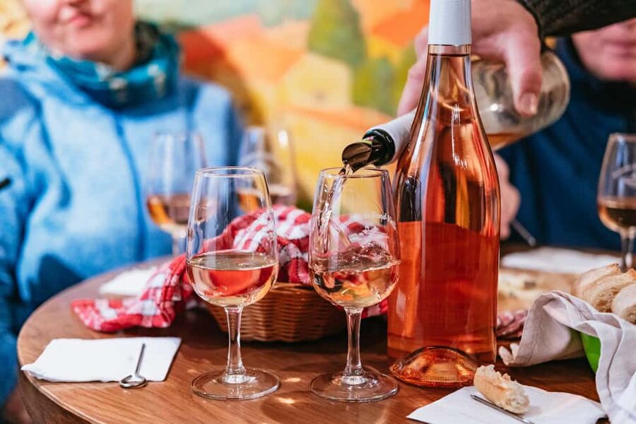 From Lyon: Golden Stones Beaujolais Wine Tasting Tour - The family winery and the Lyon mâchon