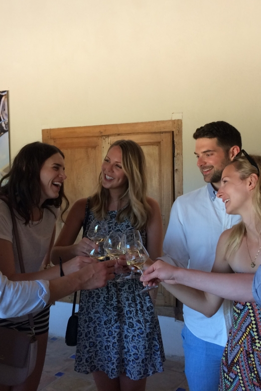 From Marseille: Aix en Provence Wine and Cheese Tour - First winery: learning how Provence wine is made