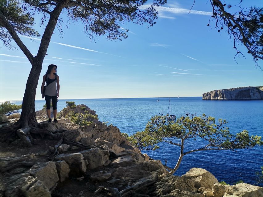 From Marseille: Calanques National Park Guided Hike - Viewpoints toward Frioul, Riou, and Mont Puget