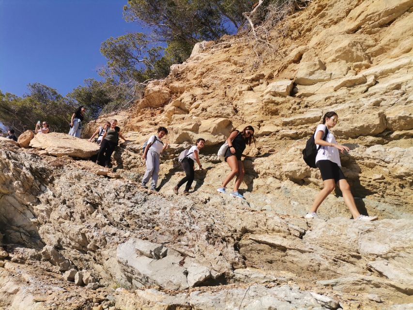 From Marseille: Calanques National Park Guided Hike - Reaching the beach and the included picnic
