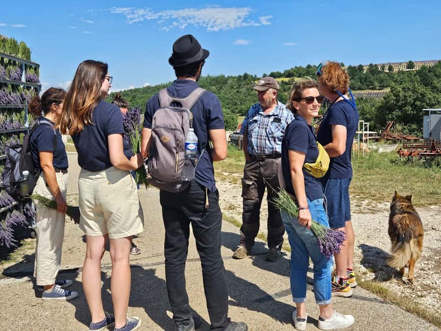 From Marseille: Lavender Full-Day Trip to Sault - Sénanque Abbey and the classic Provence photograph