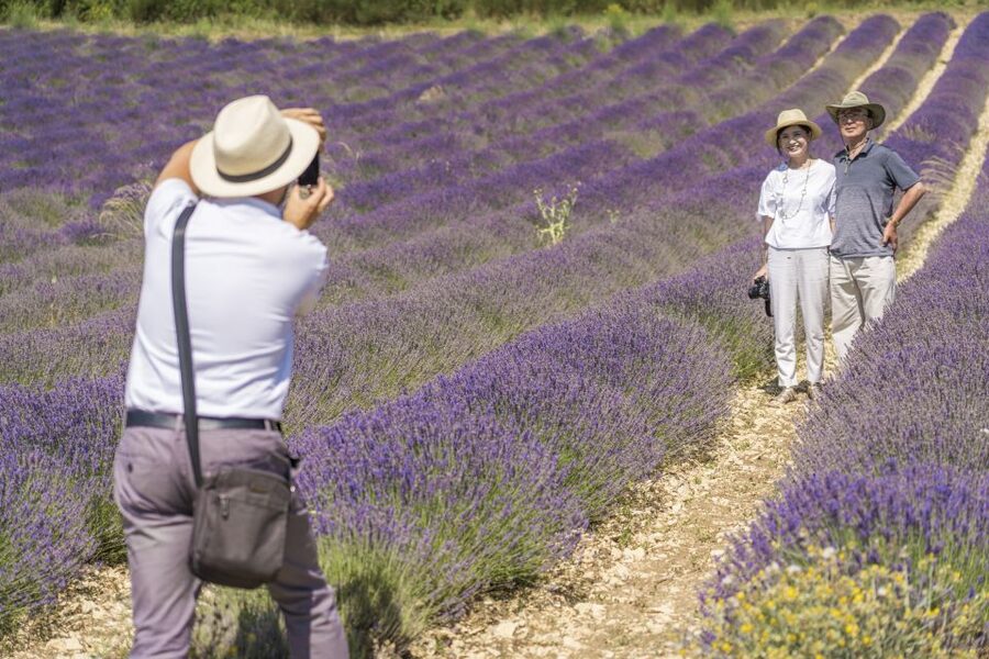 From Marseille: Valensole Lavenders Tour from Cruise Port - The Second Field Stop