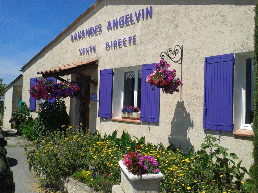 From Marseille: Valensole Lavenders Tour from Cruise Port - Practical Advice For a Smooth Day