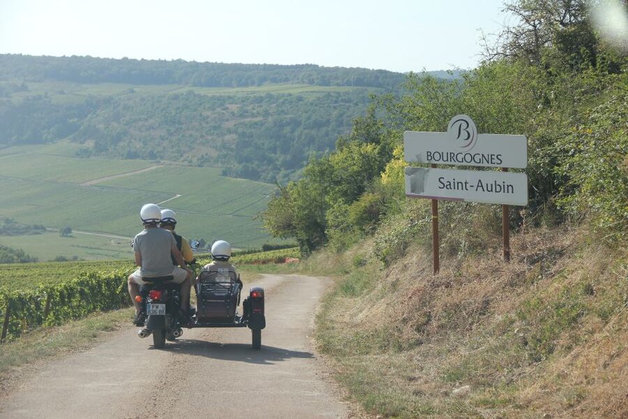 From Meursault: Private Sidecar Tour & Vineyard Wine Tasting - Puligny and Chassagne: reading the great wine country