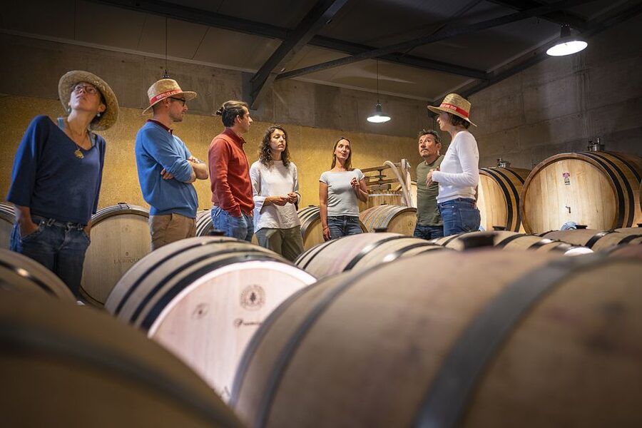 From Montpellier: Half-Day Vineyard & Pic Saint-Loup Tour - Booking Details That Matter