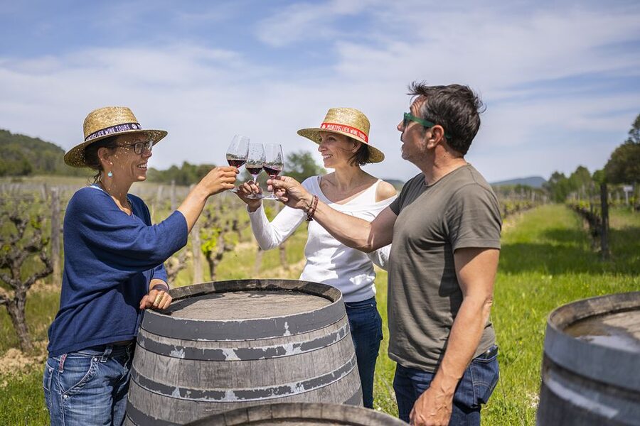 From Montpellier: Half-Day Vineyard & Pic Saint-Loup Tour - Leaving Montpellier for the Pic Saint-Loup Country