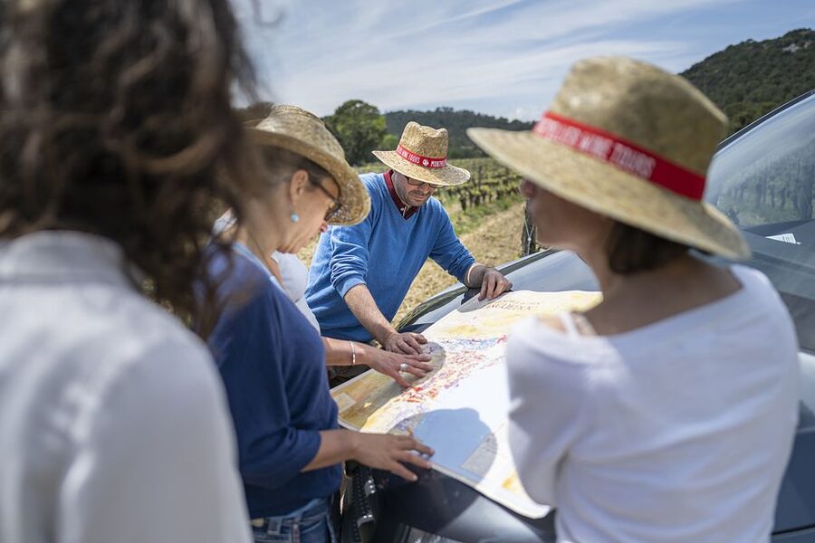 From Montpellier: Half-Day Vineyard & Pic Saint-Loup Tour - Small-Group Comfort and Guide Quality