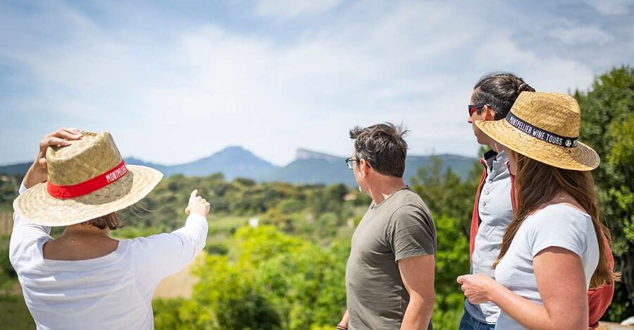 From Montpellier: Half-Day Vineyard & Pic Saint-Loup Tour - Who Will Enjoy This Half-Day Outing?