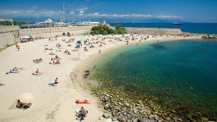 From Nice: Cannes, Saint Paul de Vence and Wine Tasting - Château Crémat adds a taste of Provence