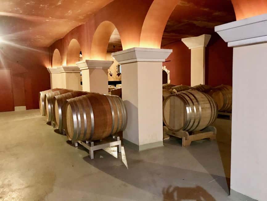 From Nice: Cannes, Saint Paul de Vence and Wine Tasting - Transport and guiding make the price easier to justify