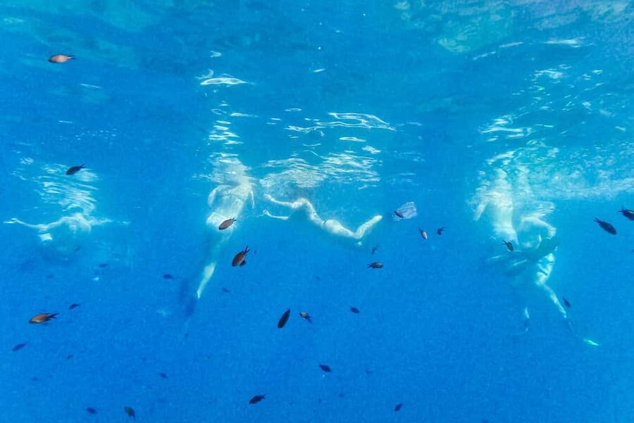 From Nice: French Riviera Swimming and Snorkeling Cruise - Who should book this Nice snorkeling trip?