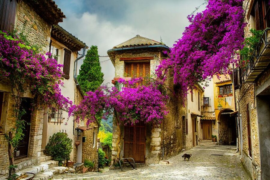 From Nice: Provence and its Medieval Villages Full-Day Tour - Key points at a glance