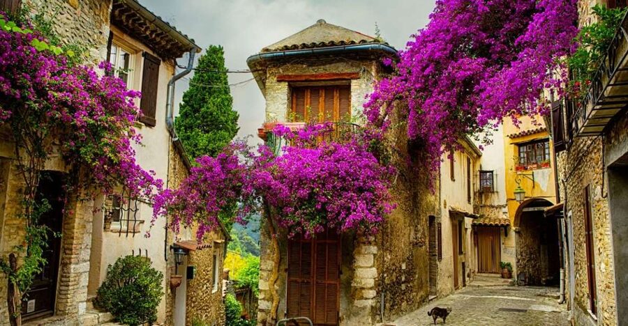 From Nice: Provence and its Medieval Villages Full-Day Tour - Grasse and the Fragonard perfume visit