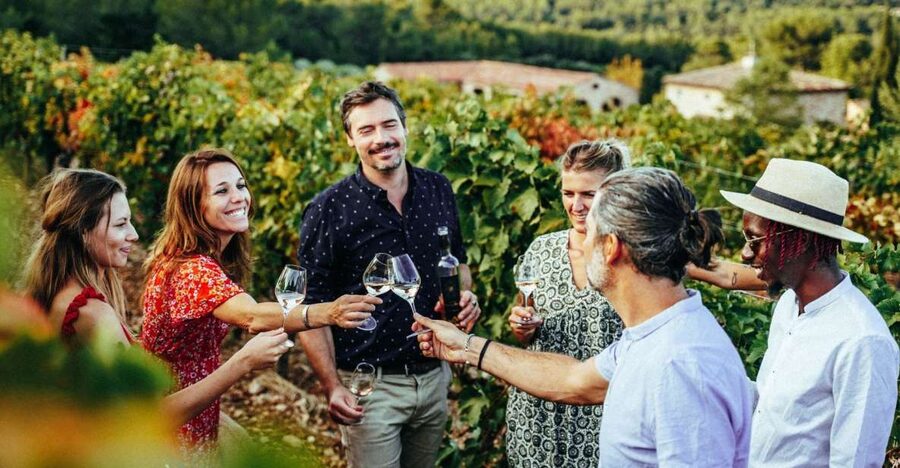 From Nice: Provence Wine Full-Day Tour - Who should book this Provence wine day?