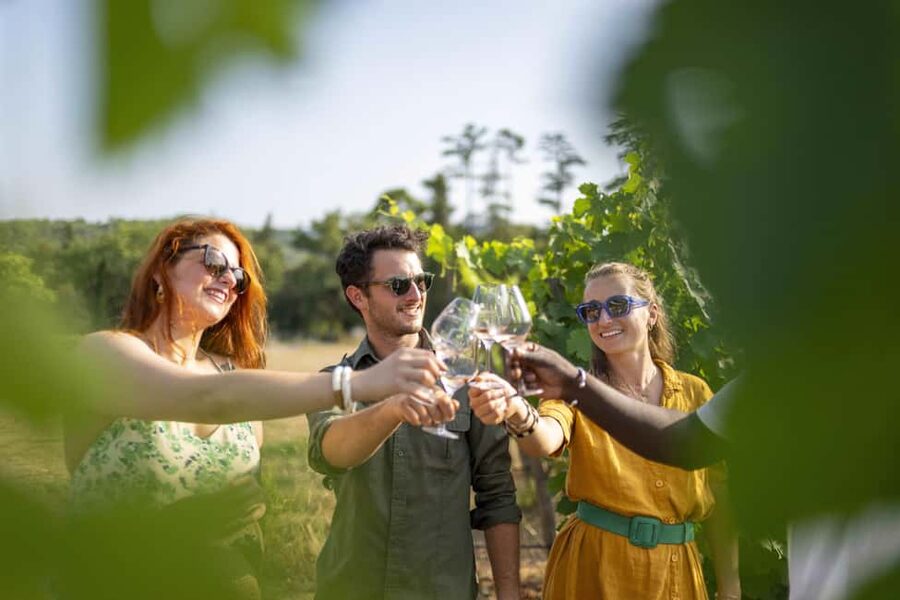 From Nice: Provence Wine Full-Day Tour - Second stop: vines, family ownership, and local art