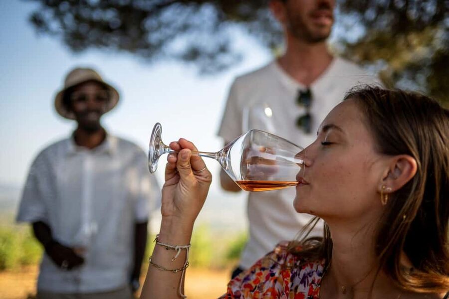 From Nice: Provence Wine Full-Day Tour - What you will actually taste