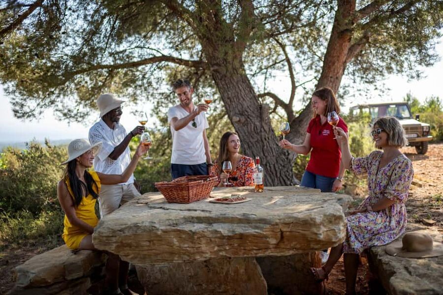 From Nice: Provence Wine Full-Day Tour - First stop: a family-owned Cru Classé château