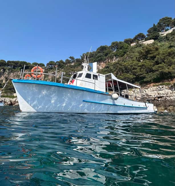 From Nice: Villefranche Bay Swimming & Snorkeling Boat Tour - Key points to know before you book