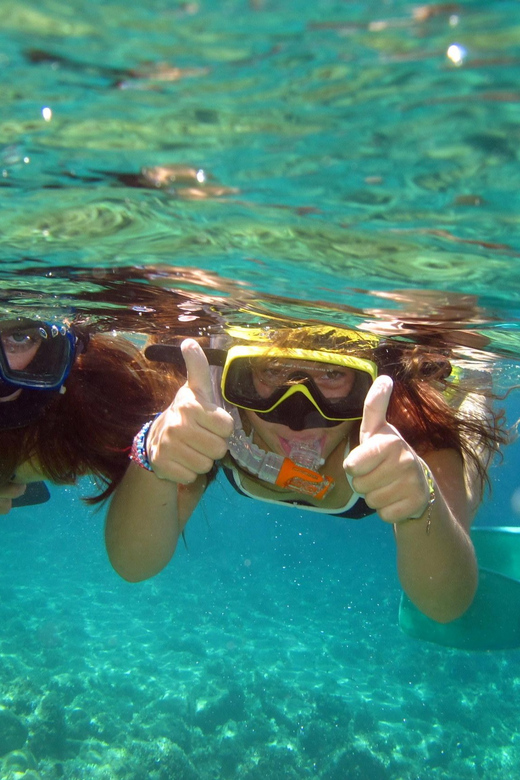 From Nice: Villefranche Bay Swimming & Snorkeling Boat Tour - The swimming requirement is not a small detail