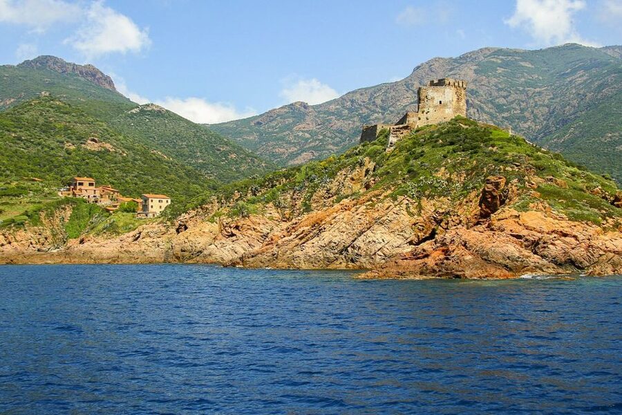 From Ota: Scandola Nature Reserve Eco-Friendly Boat Tour - My Booking Advice