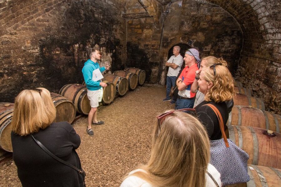 From Paris: Burgundy Region Winery Tour with Tastings - Key points at a glance