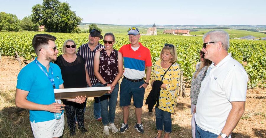 From Paris: Burgundy Region Winery Tour with Tastings - Why this Burgundy day trip works from Paris
