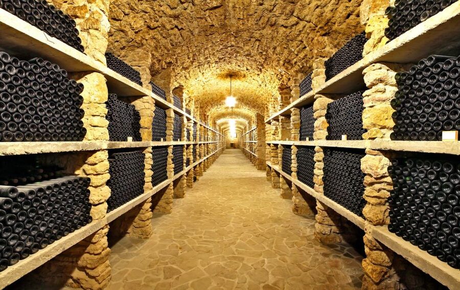 From Paris: Burgundy Region Winery Tour with Tastings - A family cellar at Domaine Bersan